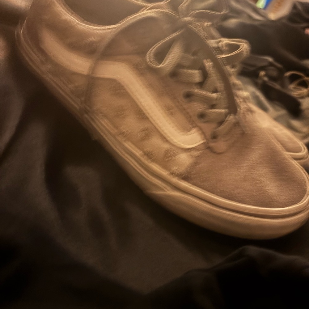 Vans Gray Skate Sneakers with Iconic Side Stripe